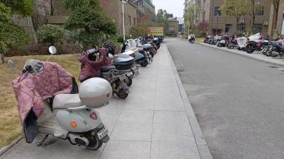 绿洲社区：党建引领聚民心 便民举措暖家园