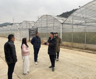 政策农技双下乡 护航农作物安全过冬