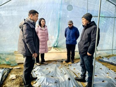 夷陵农技“破冰行动”：全域巡防筑牢农业生产“温暖防线”