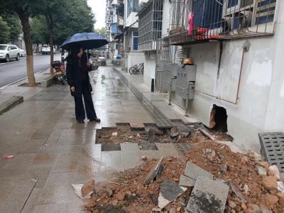 风雪中筑起“连心桥”：望江社区网格员一线解民忧