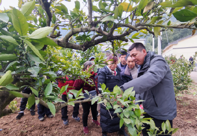 夷陵人社精准服务护航，助力一线人才获评省级荣誉