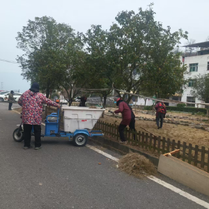 乐天溪镇：新春临近焕新颜 志愿修剪暖民心