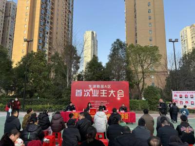 润城社区：凝心聚力谱新篇，共建和谐美好家园