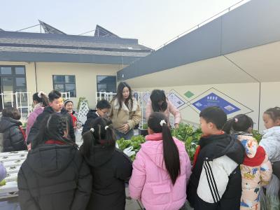 “蔬”香暖冬日，表彰励前行