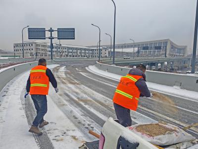 闻雪而动，龙泉镇全力筑牢冰雪天气安全防线