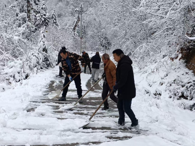 樟村坪镇桃坪河村：雪后邻里携手清雪 齐心守护道路通畅