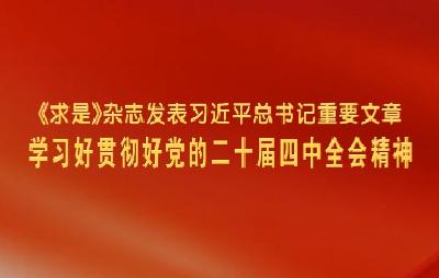 壹视界·微视频丨如何贯彻落实四中全会精神？总书记这样划重点