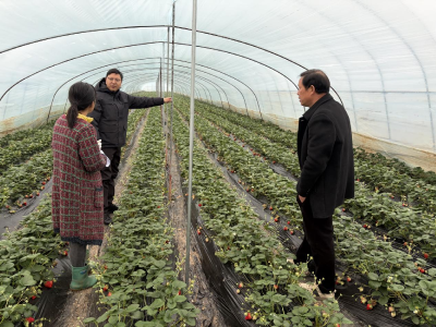 鸦鹊岭镇：风雪砺初心 防线护民生