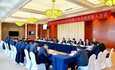 夷陵区六届人大六次会议召开代表团召集人会议