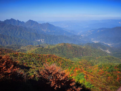 以智慧守护绿水青山 用典范擘画生态未来