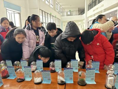 龙镇小学开展禁毒宣传活动