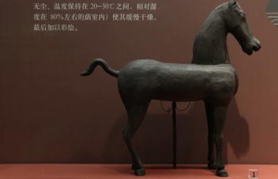 藏不住了！宜昌好多马……