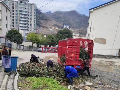 业委会带头齐动手 干干净净迎新年