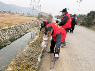 【新时代文明实践】党员带头作表率 村庄清洁迎新春
