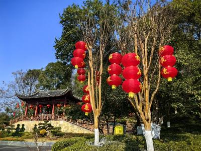 大红灯笼高高挂 马年新春年味足