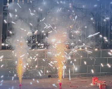 烟花爆竹安全“十严禁”