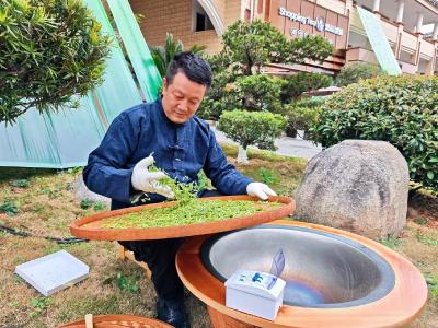 峡江春早茶飘香