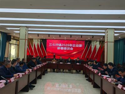 三斗坪镇：政企携手共绘高质量发展新篇