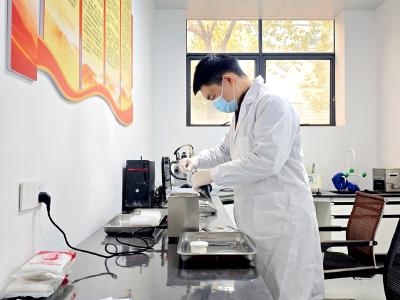 【新局启幕 实干作答】“夷陵造”培育钻石闪耀国际市场