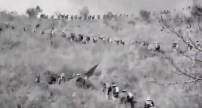 传承好家风 聚力建支点丨宜昌市优秀作品展播（十二）