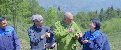 十年坚守，她把茶园种成了“植物园”