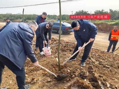 鸦鹊岭镇：“植”此青绿筑屏障 产业旺城添“新妆”