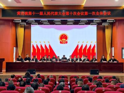 黄花镇：聚焦九大重点 谱写发展新篇