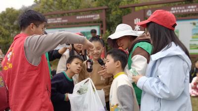夷陵区开展世界水日环保行动