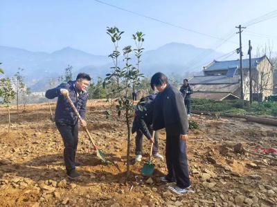 峡江两岸植新绿，生态屏障护长江