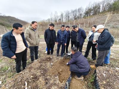 对标先进学技术 赋能产业促振兴