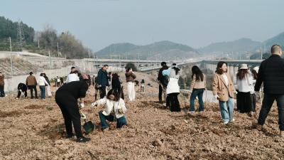 小溪塔街道：植桃增绿添春色 绘美塔城谱新篇