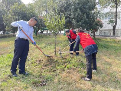 履行植树义务 共建美丽站所—— 宜昌北收费站开展春日植树活动