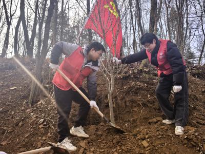 【新时代文明实践】下堡坪乡“植”此青绿 共“树”未来