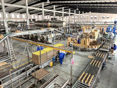 【新局启幕 实干作答】宜昌永和食品跻身全国早餐奶制品三强
