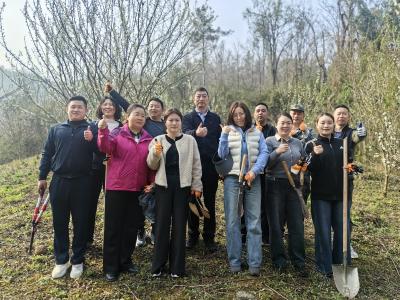 植绿护绿践初心  实干担当促发展——夷陵区退役军人事务局开展军休林春季管护活动