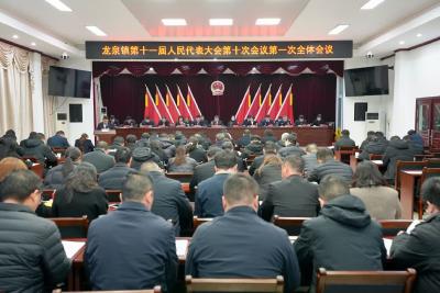 龙泉镇：以产兴镇 以城融势 以民为本绘就高质量发展新图景