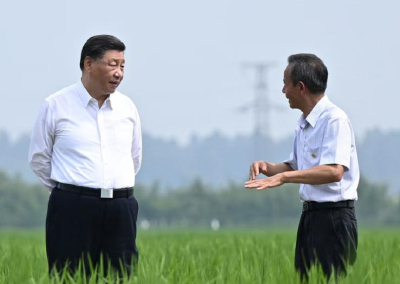 习语丨一粒小小的种子，何以让总书记如此牵挂？