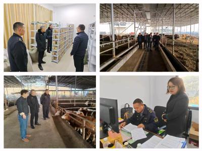 夷陵区开展肉食品专项整治春季行动