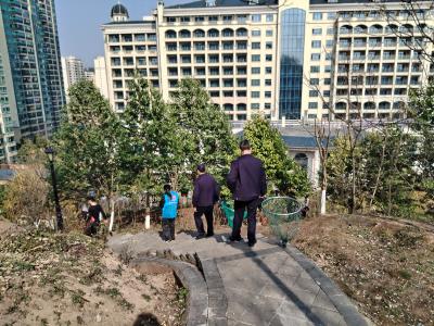 绿洲社区：整治流浪犬隐患 守护居民出行安