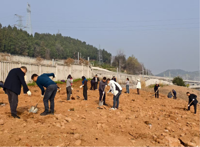 添绿岩花村 扮靓新夷陵——区机关事务服务中心开展义务植树活动