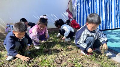 小手添新绿 猕香伴成长