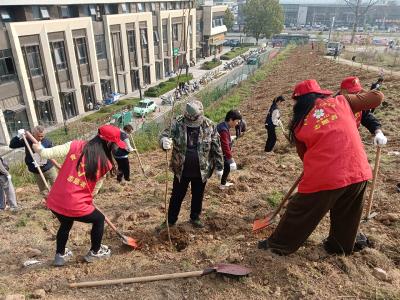 义务植树添绿意 平安共建践初心