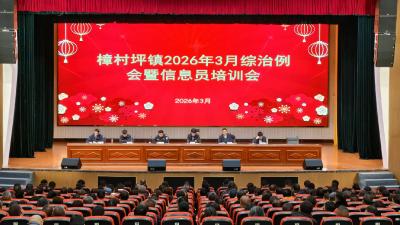 汇聚“神经末梢”力量 织密平安建设防护网