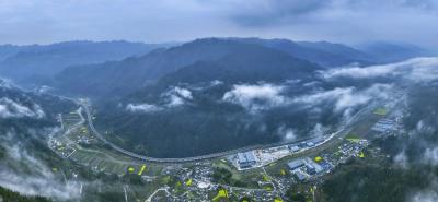 云雾漫山入画来 雾渡河畔春光美