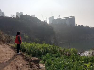 望江社区：守护绿水青山 共建生态家园