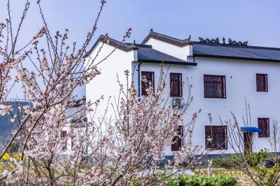 南垭花田庄园别具一格