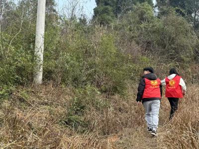 严守禁种铲毒底线 筑牢无毒安全防线