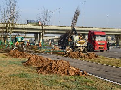 抢抓春季植绿 小鸦路扩建工程添新绿 打造最美城乡生态公路