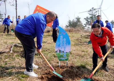绿植百里荒 赋能楚能蓝