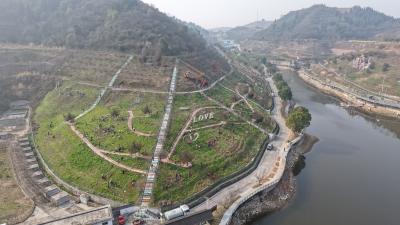 植馫绿 添活力 稻花香扮靓生态酒城春光